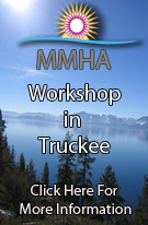 Micronutrients for Mental Health Preliminary Program
